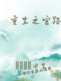 重生之官路风流