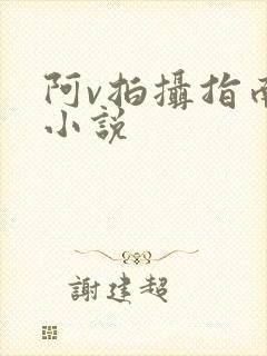 阿v拍摄指南说小说