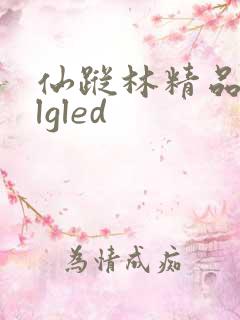 仙踪林精品zzlgled