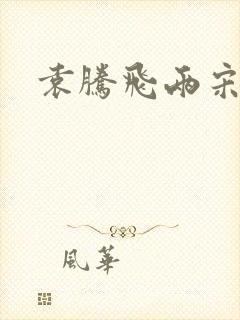 袁腾飞两宋风云