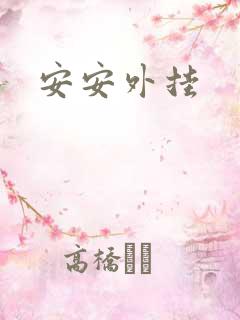 安安外挂