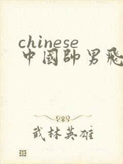 chinese中国帅男飞机