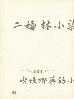 二婚 林小染