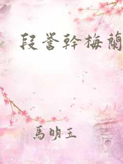 段誉干梅兰竹菊