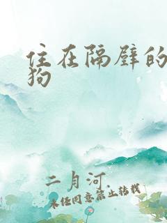 住在隔壁的小狼狗