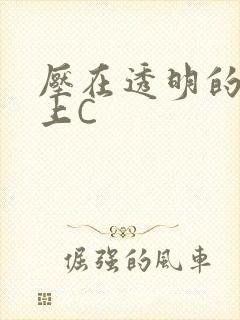 压在透明的玻璃上C