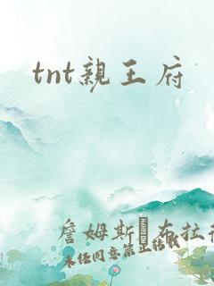 tnt亲王府