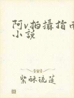 阿v拍摄指南说小说