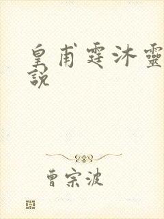 皇甫霆沐灵芸小说