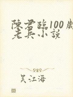 陈君临100岁老兵小说