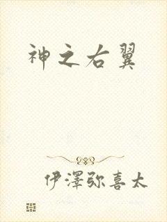 神之右翼