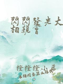 闪闪发光大团圆相亲会