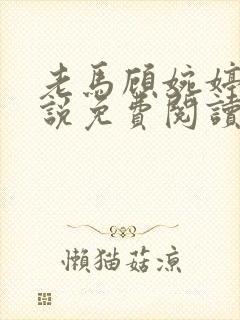 老马顾婉婷的小说免费阅读