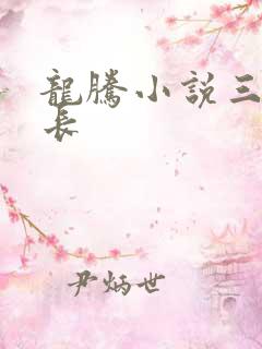 龙腾小说三宝局长
