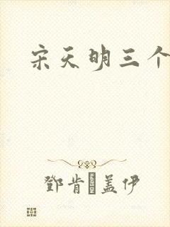 宋天明三个婆娘