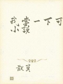 我尝一下可以吗小说