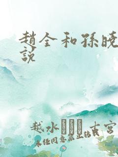 赵全和孙晓云小说