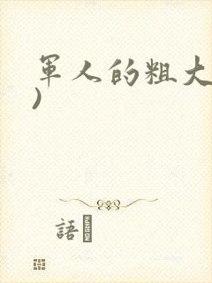 军人的粗大(h)