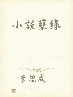 小说孽缘