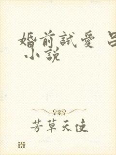 婚前试爱 吕颜 小说