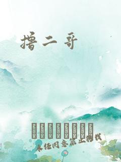 撸二哥