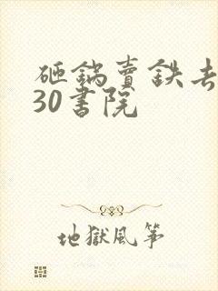 砸锅卖铁去上学30书院