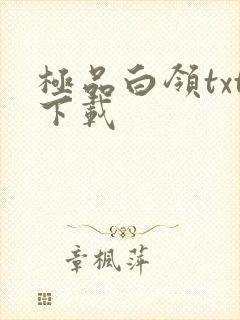 极品白领txt下载