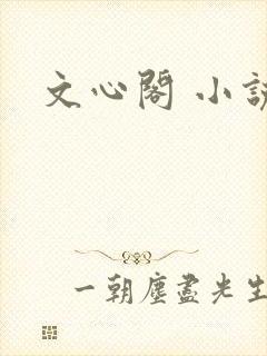 文心阁 小说
