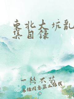 东北大坑乱H全集目录