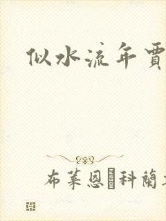 似水流年贾二虎