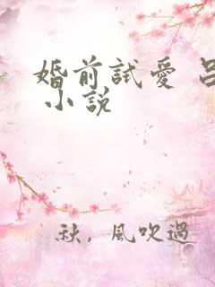 婚前试爱 吕颜 小说