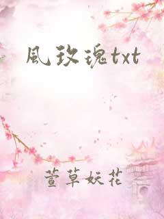 风玫瑰txt