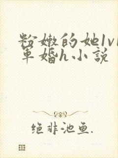 粉嫩的她1v1军婚h小说