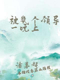 被几个领导玩弄一晚上