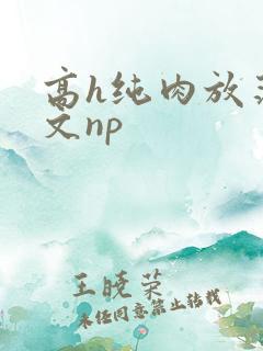 高h纯肉放荡h文np