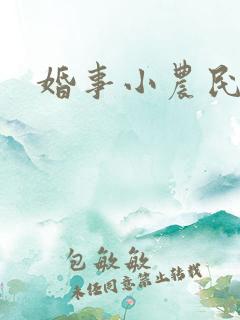 婚事小农民