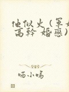 他似火 (军婚 高干 婚恋)