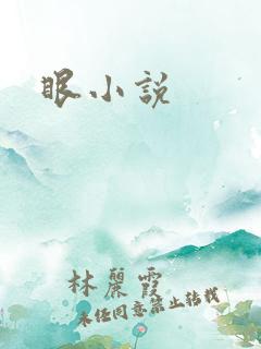 眼小说