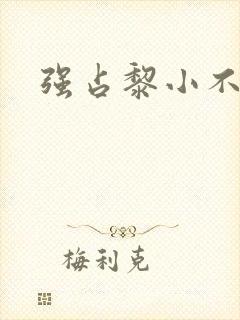 强占黎小不