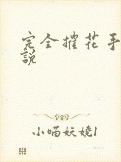 完全摧花手册小说