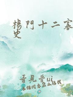 杨门十二寡妇艳史