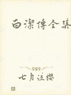 白洁传全集