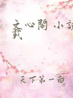 文心阁 小说连载