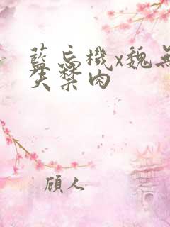 蓝忘机x魏无羡失禁肉