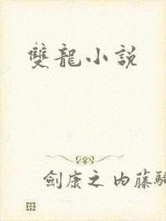 双龙小说