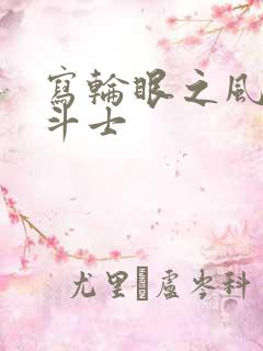写轮眼之风流圣斗士