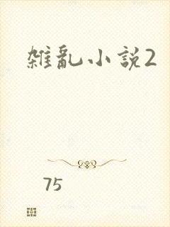 杂乱小说2