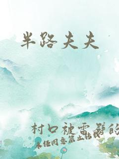 半路夫夫