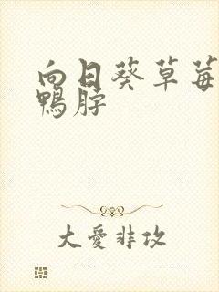 向日葵草莓丝瓜鸭脖