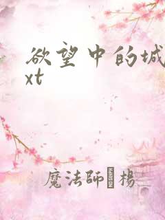 欲望中的城市txt